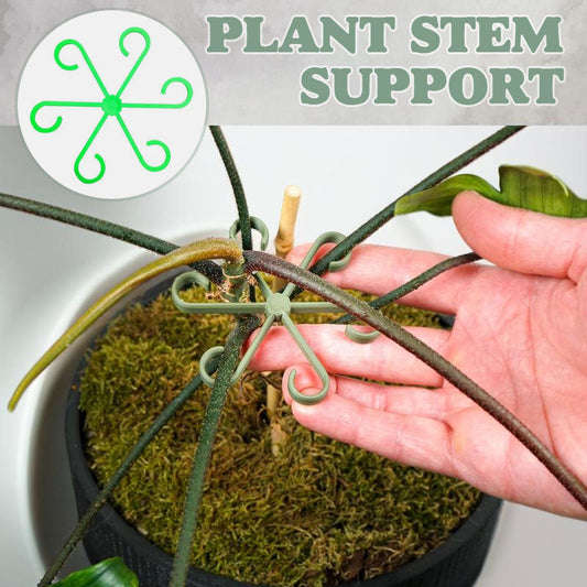🌿 Plant Stem Support (4pcs) – Elevate Your Gardening Game! 🌿