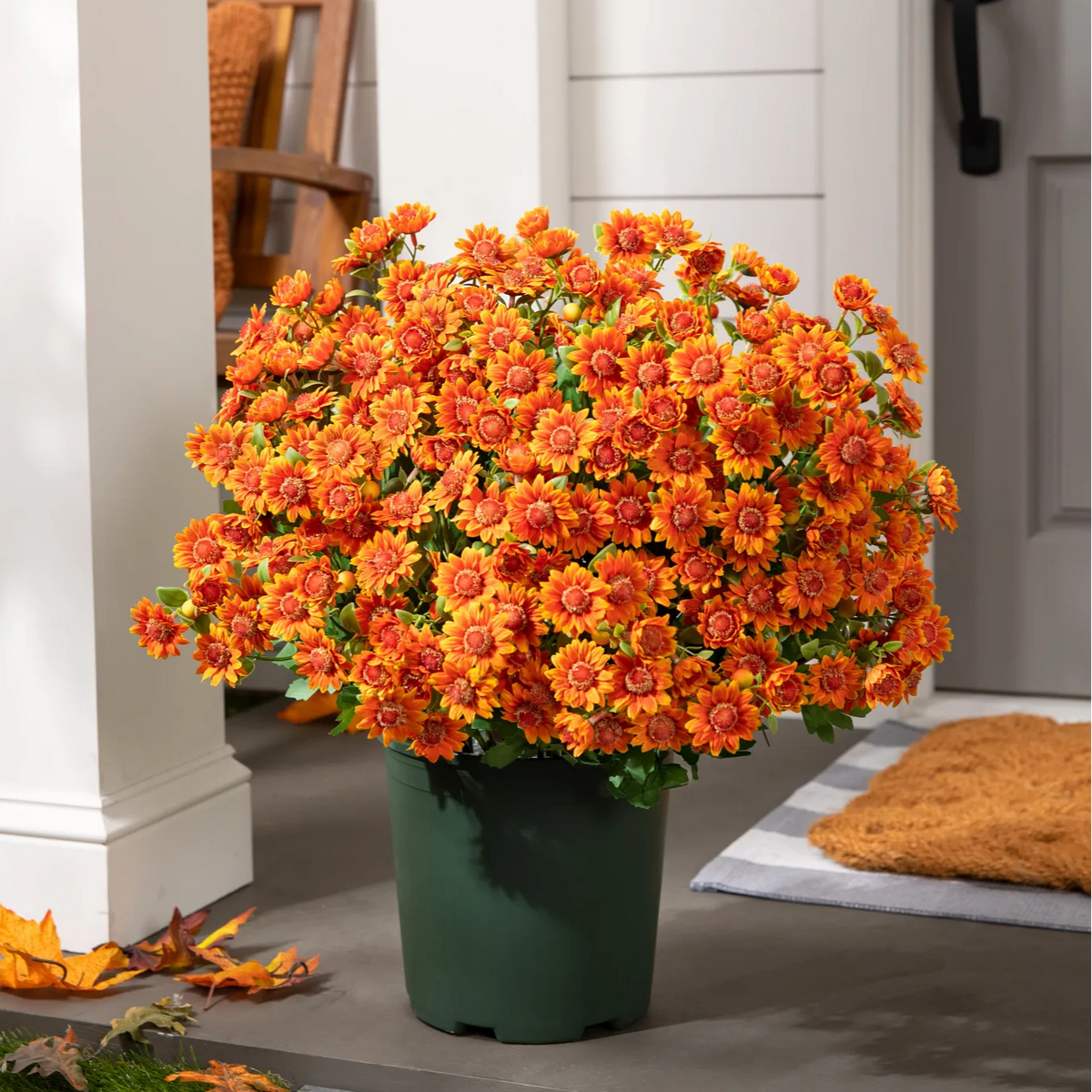 🍂 Tired of Bleak Winter Gardens? Get Pub-Standard Autumn Blooms Instantly — No Watering, No Rotting! 🌼