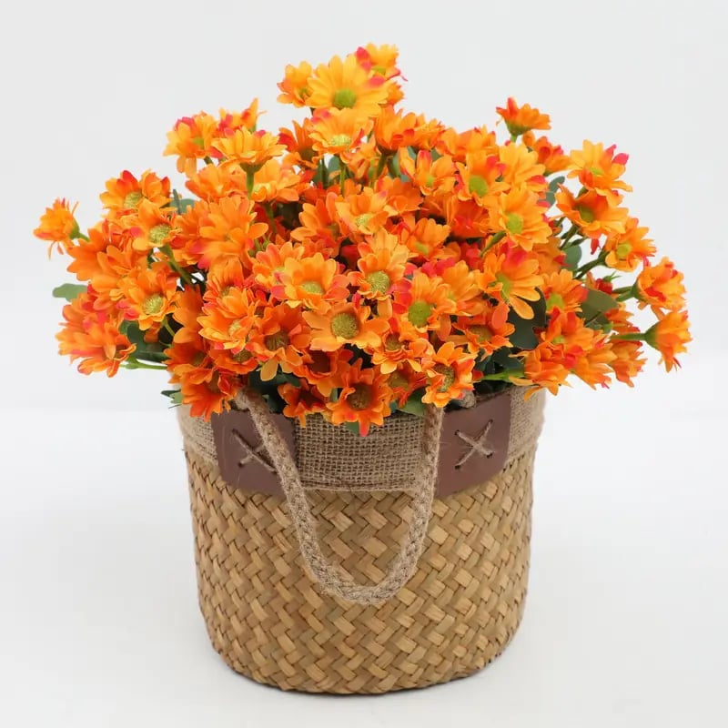 🍂 Tired of Bleak Winter Gardens? Get Pub-Standard Autumn Blooms Instantly — No Watering, No Rotting! 🌼