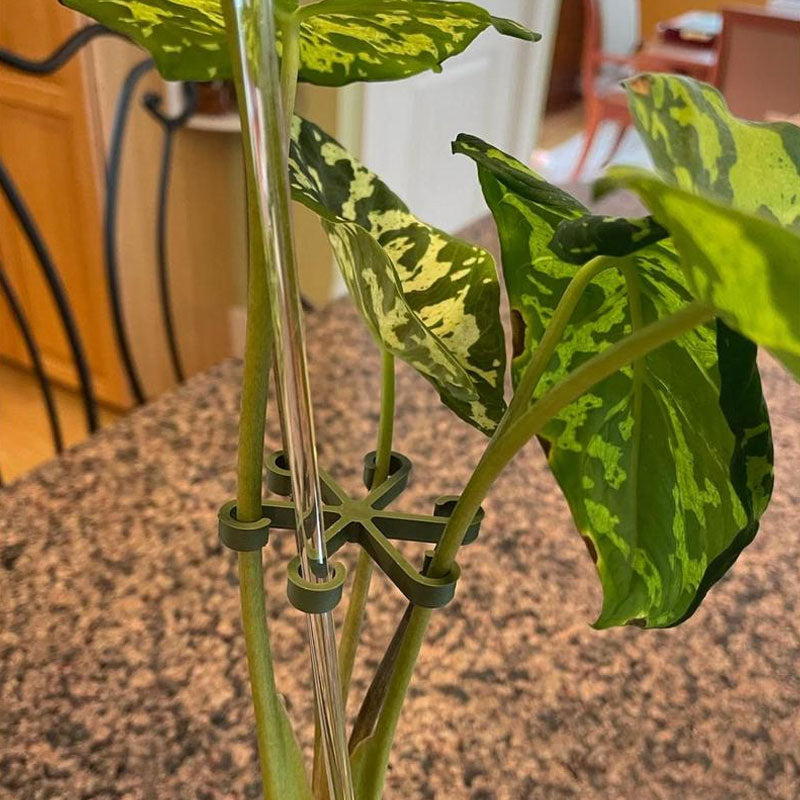🌿 Plant Stem Support (4pcs) – Elevate Your Gardening Game! 🌿
