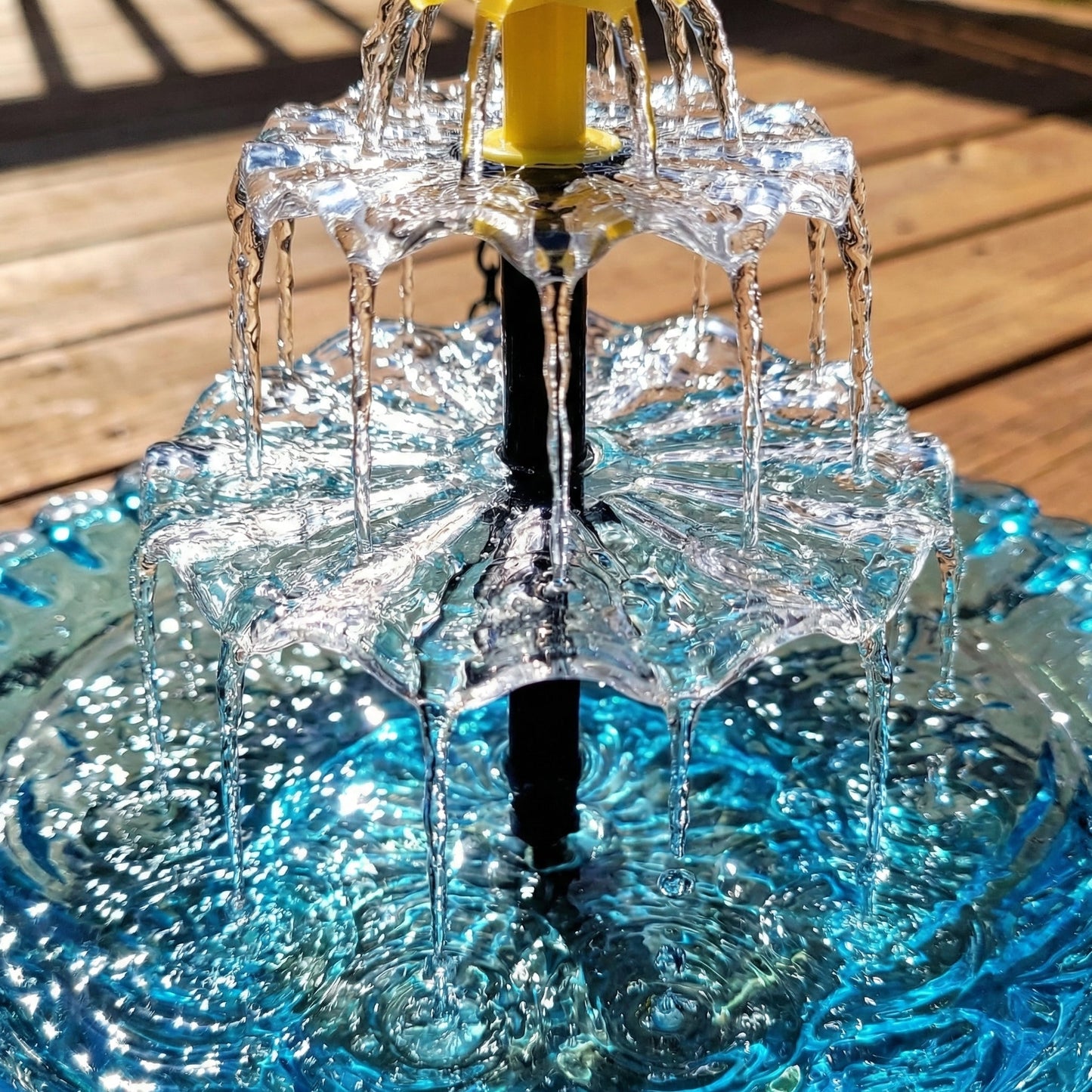 Transform Your Garden Into a Local Bird Sanctuary – 100% Solar Powered! 🐦✨