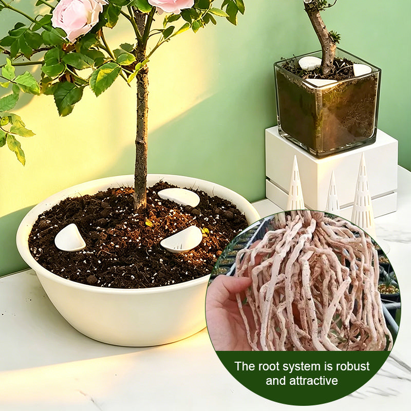 Plant Root Aerator 🌿 – Stops Root Rot & Soil Compaction