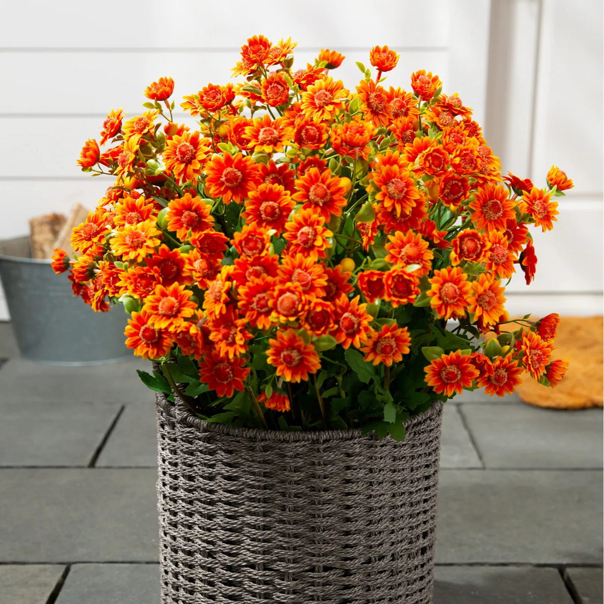 🍂 Tired of Bleak Winter Gardens? Get Pub-Standard Autumn Blooms Instantly — No Watering, No Rotting! 🌼